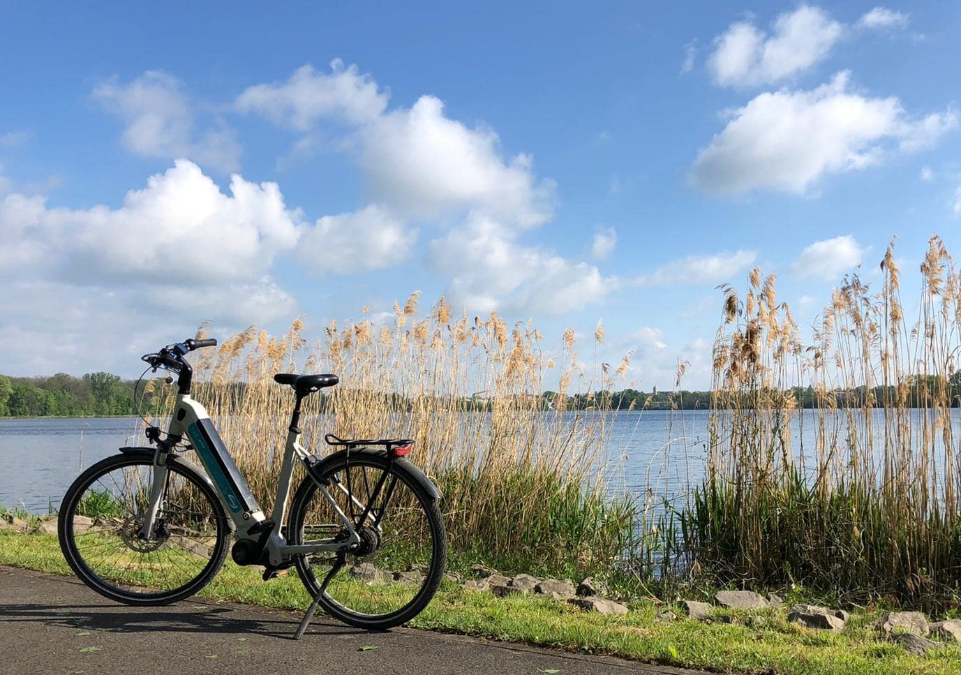 Fahrradtouren Ein Fahrrad steht am Markkleeberger See.